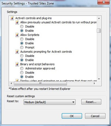 Internet Explorer Setup Options