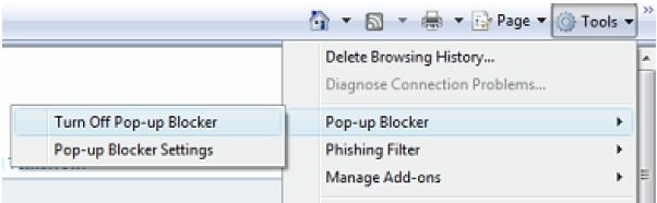 Internet Explorer Setup Options